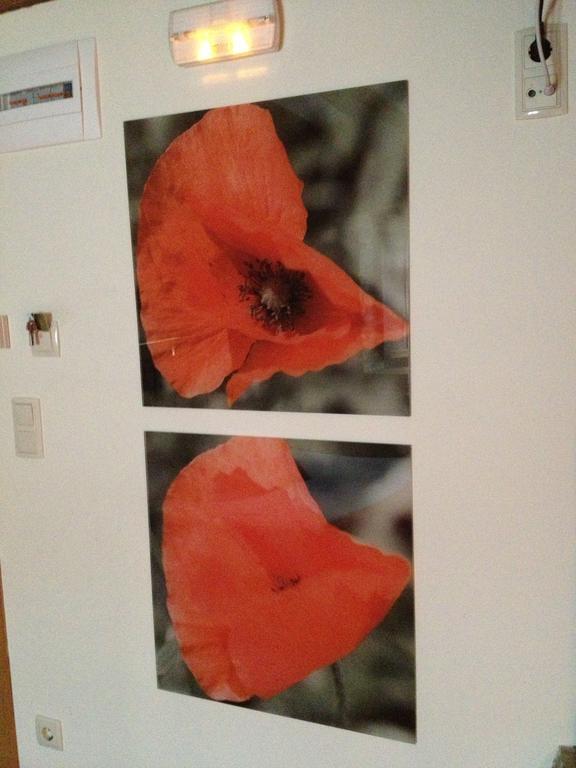 Casa Rural Garabilla Llanteno Pokoj fotografie